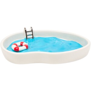 Swimming Pool Soap Dish