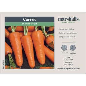 Short n Sweet Carrot Seeds, 1000 Pack, Early, Container-Friendly, Heavy-Soil Tolerant
