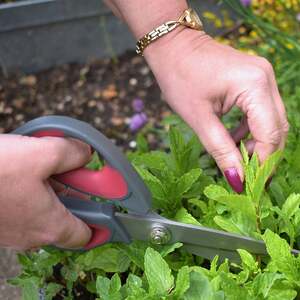 Precision Garden Scissors with Stainless Steel Blades and Comfort-Grip Handles