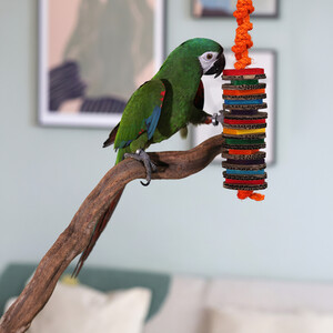 Boredom Breaker Shredder Bird Toy