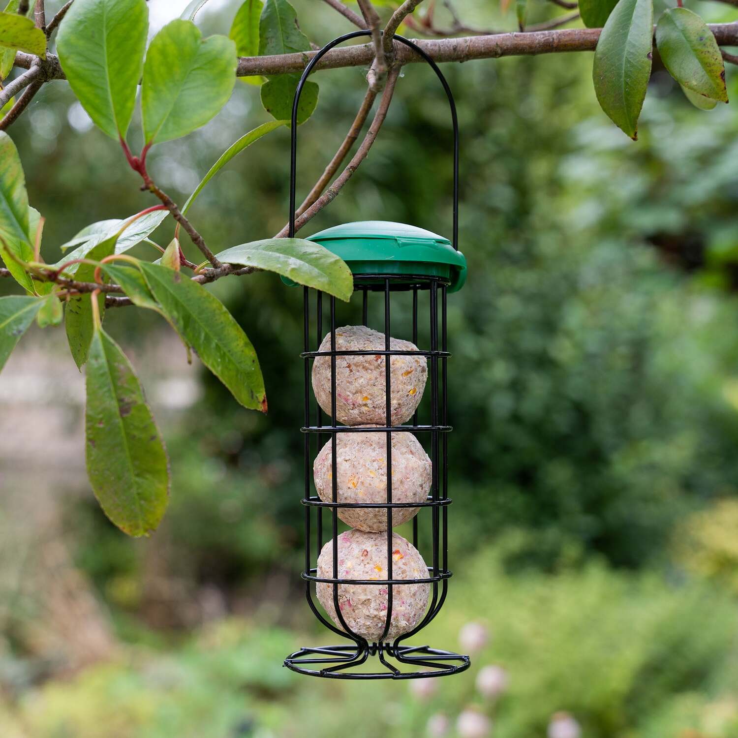 Image of Gardman Flip Top Feeder Fat Snax&hellip;
