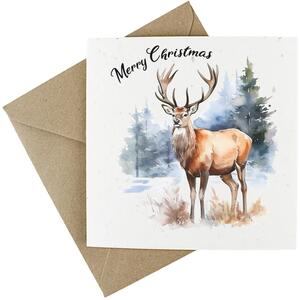 Winter Stag - Plantable Wildflower Seed Christmas Cards - 5 Pack