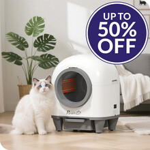 flash deals sale offers