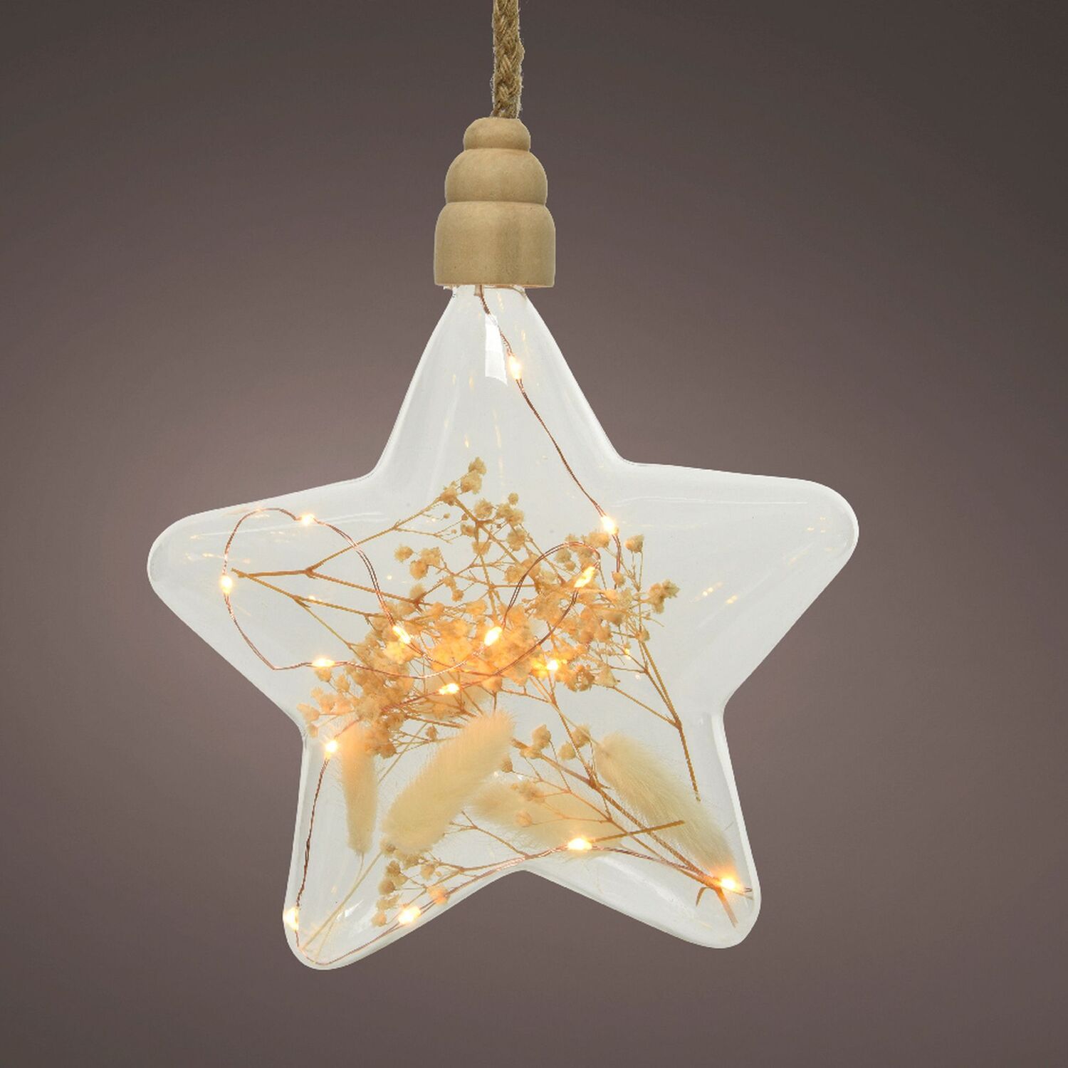 Lumineo Clear Foliage Star Rope Light - Clear - Image 2
