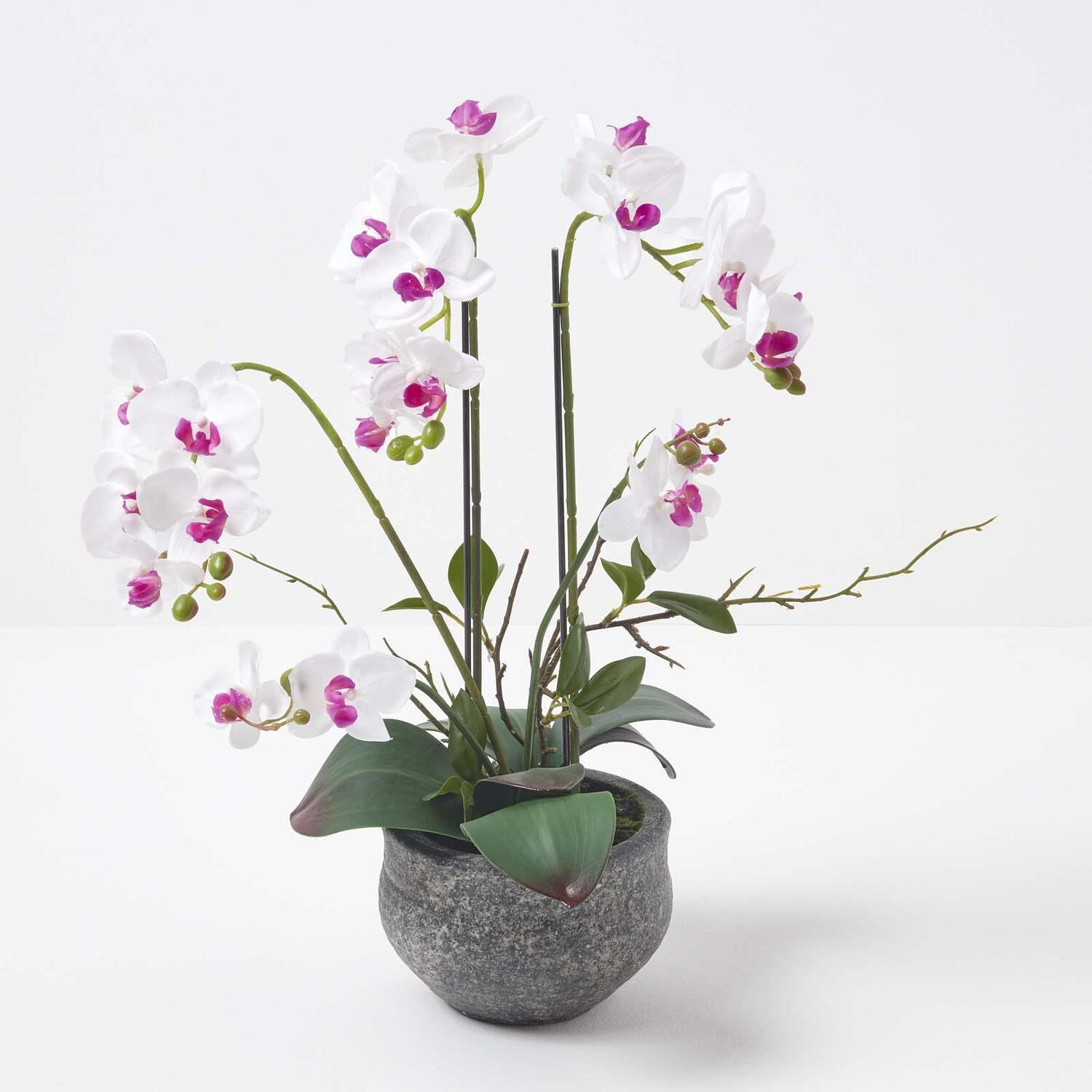Homescapes 52cm Lifelike Artificial White Orchid in Grey Cement Pot - White