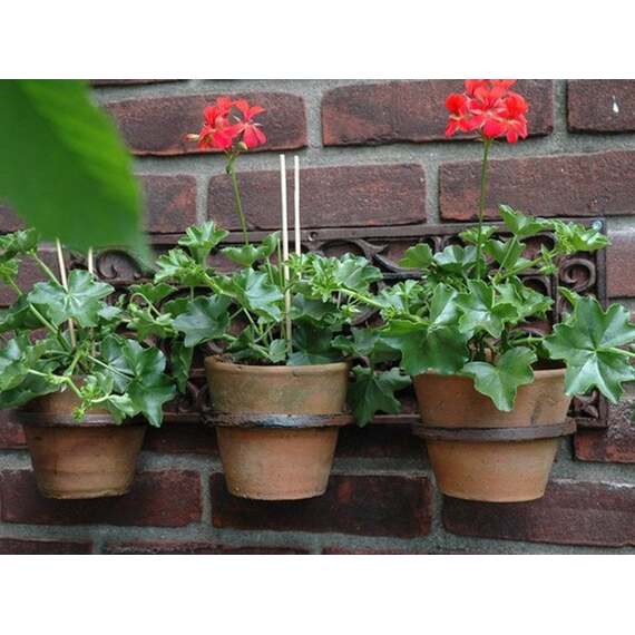 Cast Iron Wall Mounted Pot Holder - 3 Pot