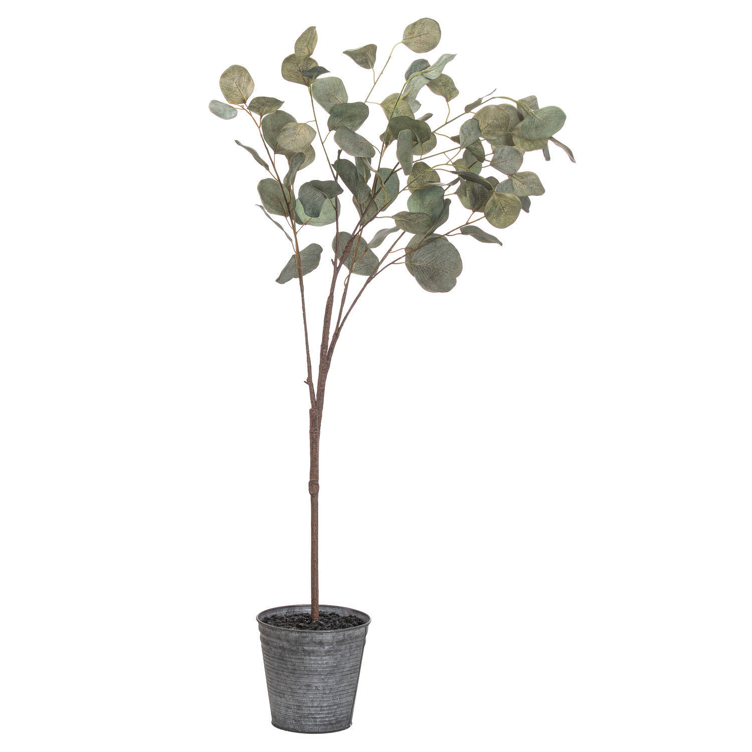 Eucalyptus Tree In Metallic Pot Modern Decor - Green