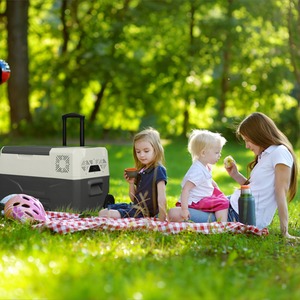 Electric Compressor Cool Box with Wheels