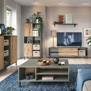 Darwin TV Cabinet