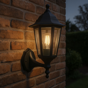 Eglo Olgiata-E Plastic Classic Outdoor Wall Light, Black