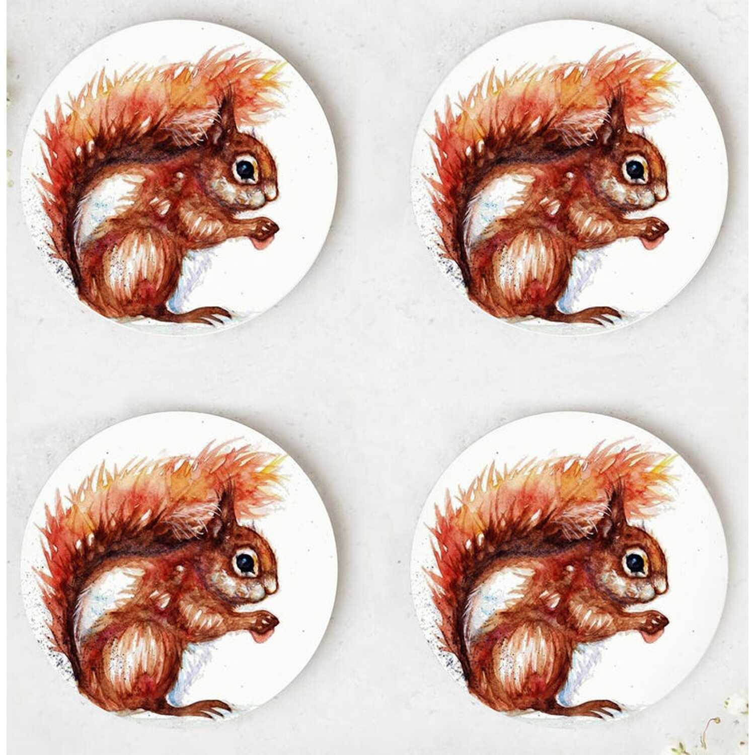 Image of Red Squirrel Coasters - Brown