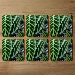 Yellow structure in exotic jungle setting Designer Coaster Set