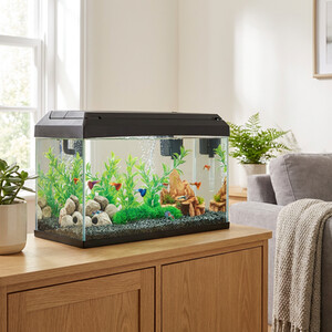 Rectangular Aquarium with Light and Filter