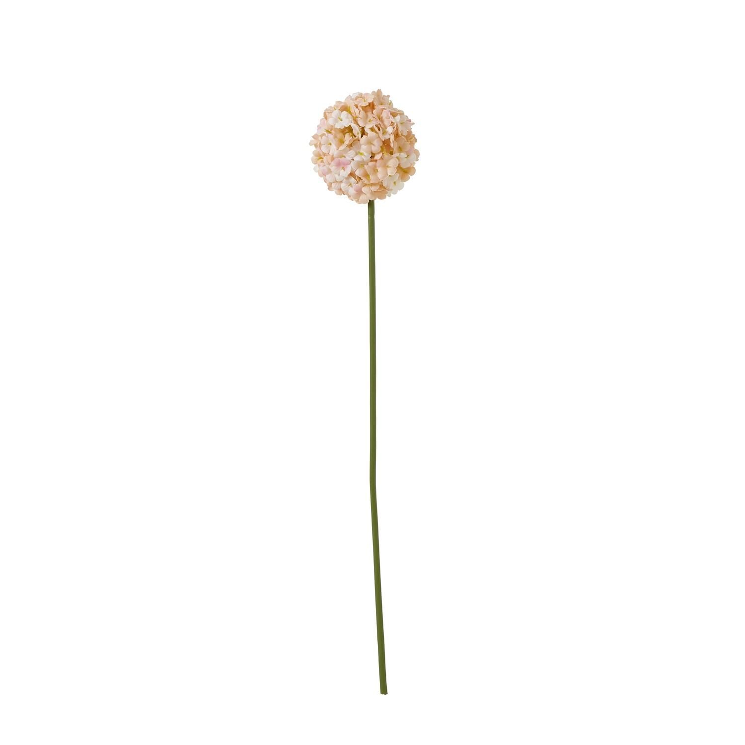 Hill Interiors The Natural Garden Collection Allium Artificial Flower - Apricot/White