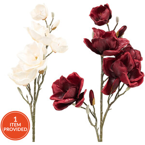 Shimmer Magnolia Stem