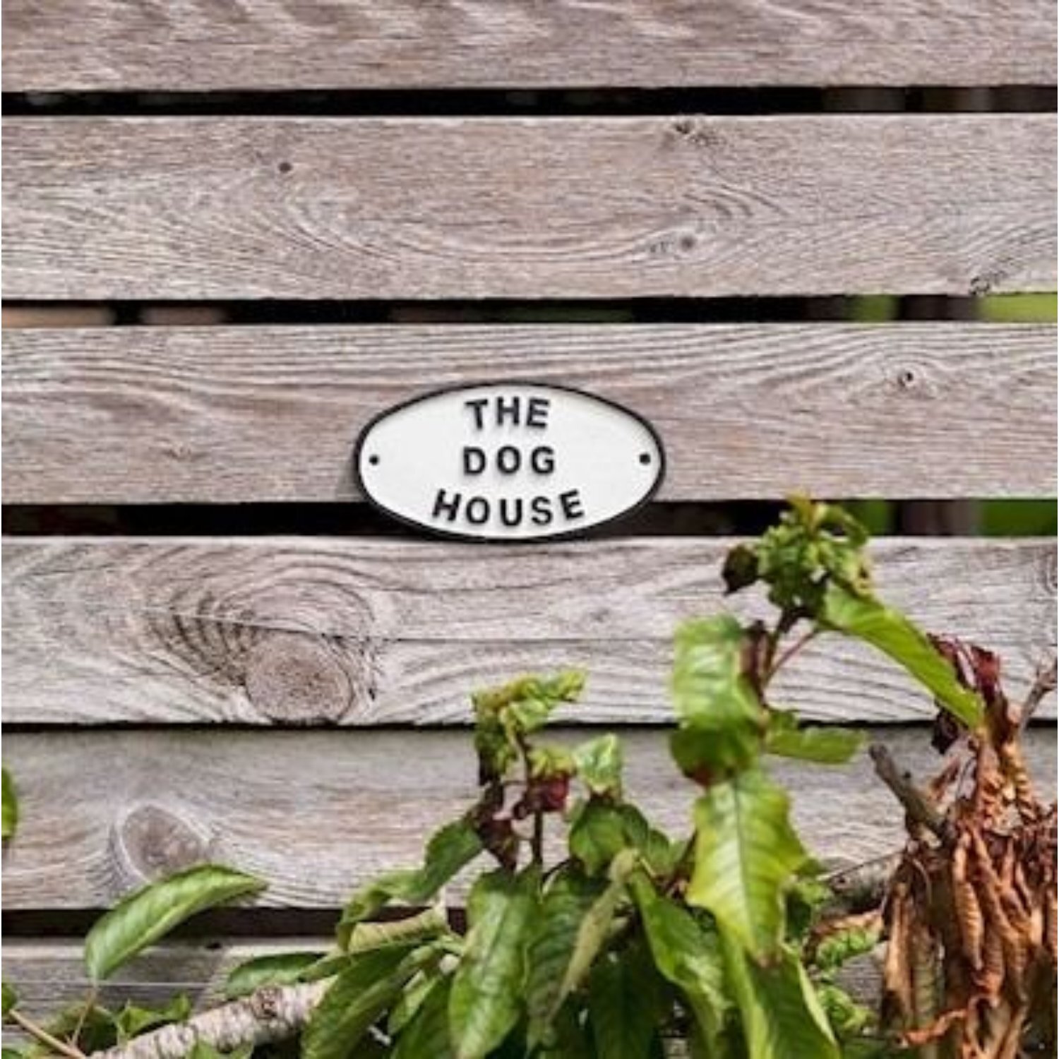 Kdmd The Dog House Sign 2 Pack White