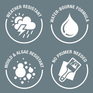  shot 1960764