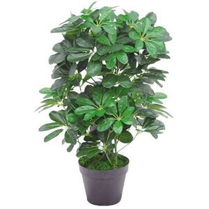 Artificial Foliage Plants Fully Potted ready to Display