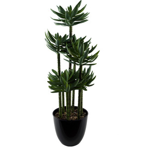 Artificial Tropical Yukka in Planter