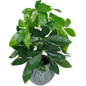 Artificial Money Tree Plant