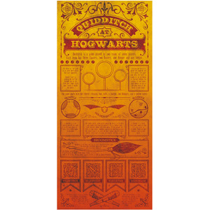 Harry Potter Limited Edition Quidditch Art Print