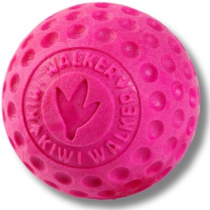 Kiwi Walker Dog Ball