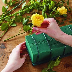 Green Wet Foam Oasis Brick For Fresh Floral Crafts Flower Arranging