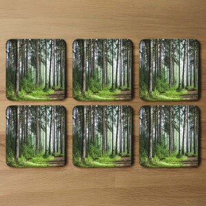 Beautiful summer forest with different trees Designer Coaster Set
