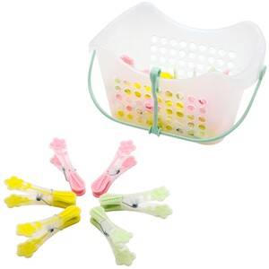 Pack of 24 Flower Pegs with Basket