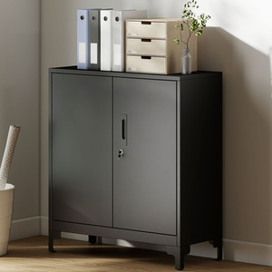 HOMCOM Lockable Metal Filing Cabinet 2-Tier Storage Cupboard