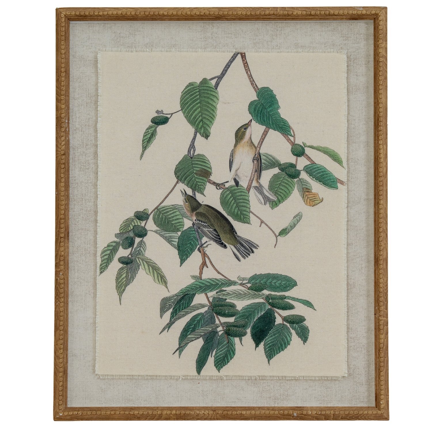 Flora Fauna Warblers On Linen Beaded Frame Wall Art - Brown