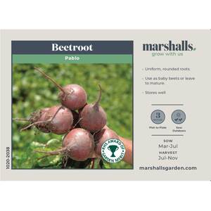 Marshalls Garden Beetroot Seeds Pablo RHS AGM, 300 seeds, deep-red roots