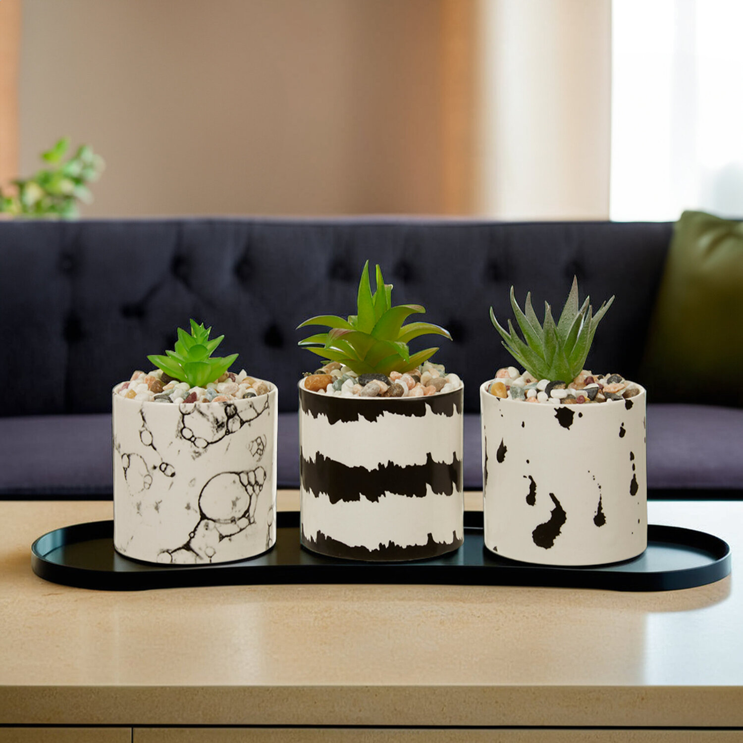 Mimo Set of 3 White And Black Succulents - Black & White