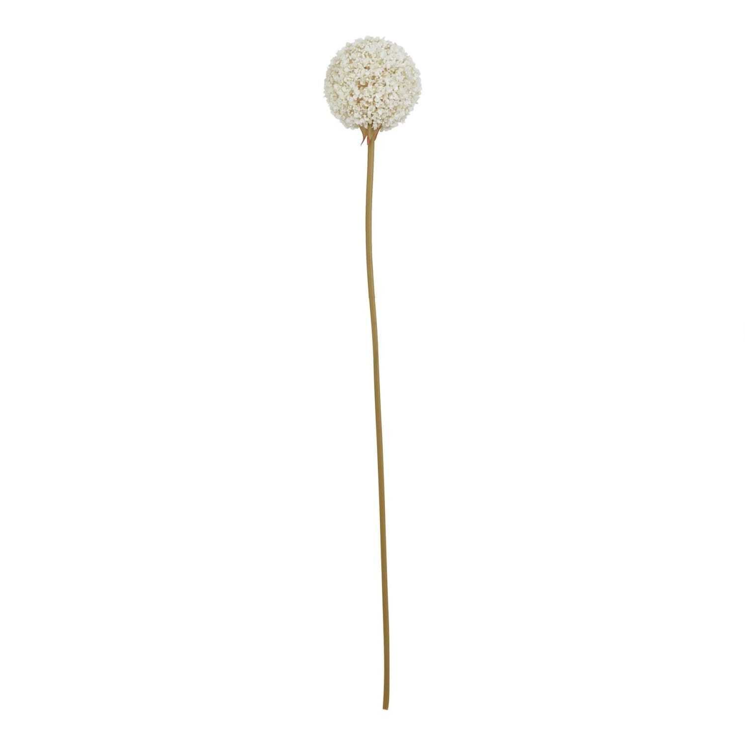 Wyld Haus Set Of 3 Artificial Allium Stems - White