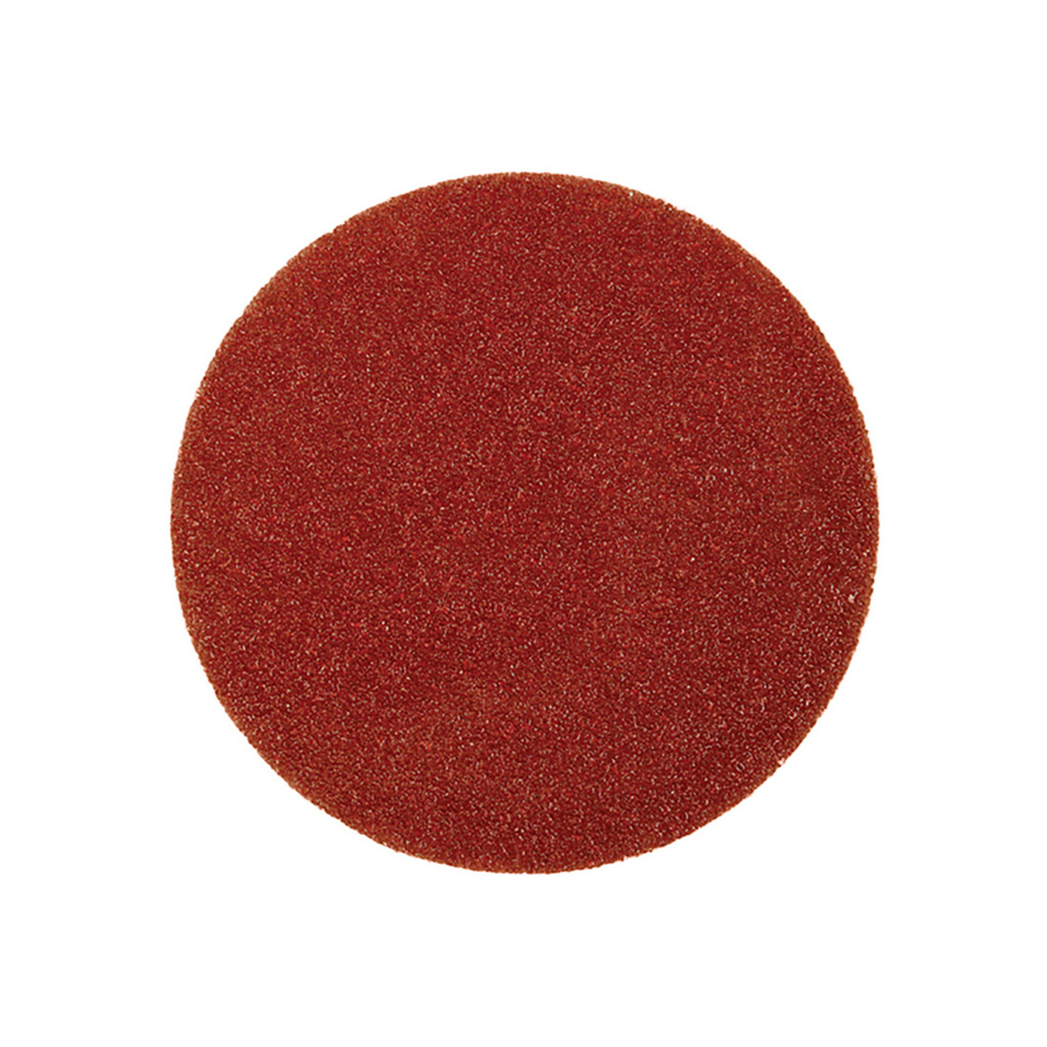 Abracs Hook And Loop Sanding Disc 125Mm X 60 Grit - Ababhl0125060 - Box Of 25 - Grey