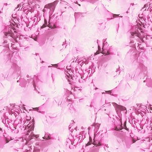 Romantic Flower Floral Wallpaper in Pink and Purple