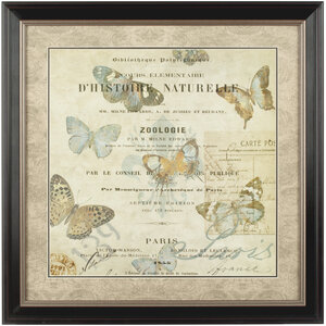 Framed Butterfly 2 Wall Art