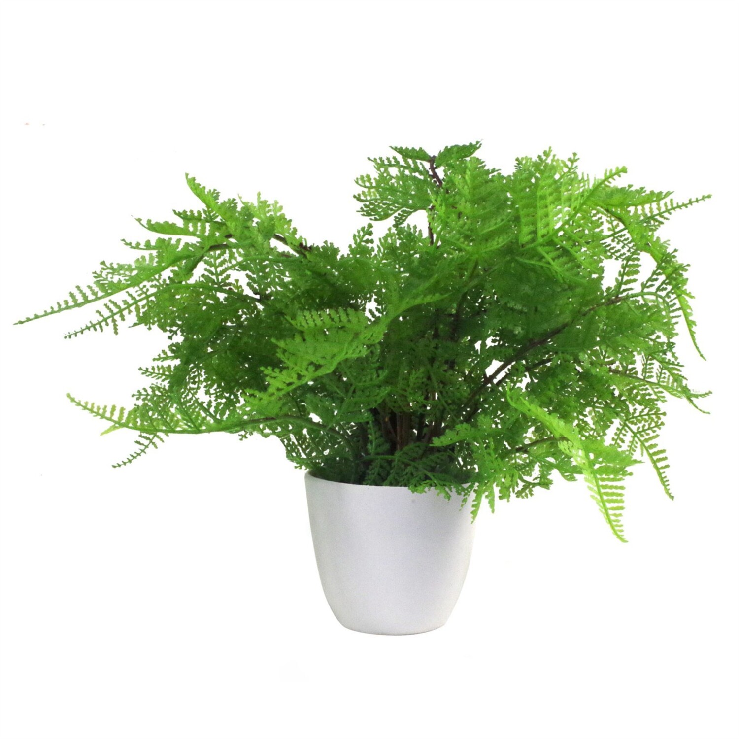 Artificial Lady Fern Plant In White Pot 30cm - Green