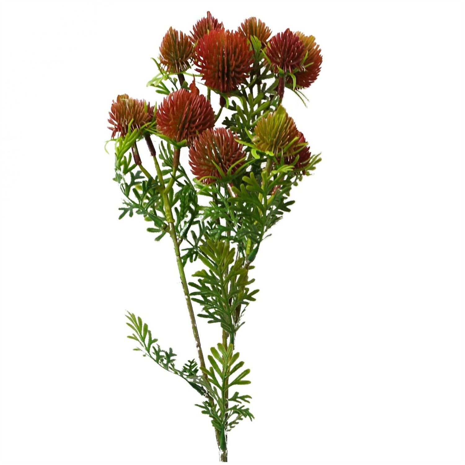 Artificial Red Craspedia Flower Stem 55cm - Red
