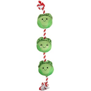 Sprouts Rope Dog Toy