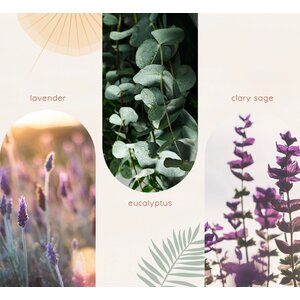 Heart and Home  Reflective Rest Essential Oil Blend