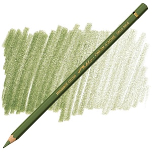Pablo Permanent Colour Pencil - Olive Grey 018