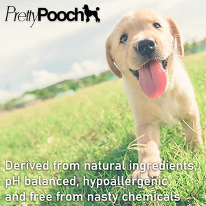  shot 2544180