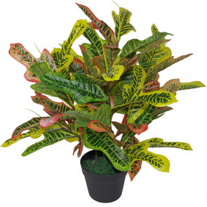 Artificial Codiaeum Multicoloured House Plant