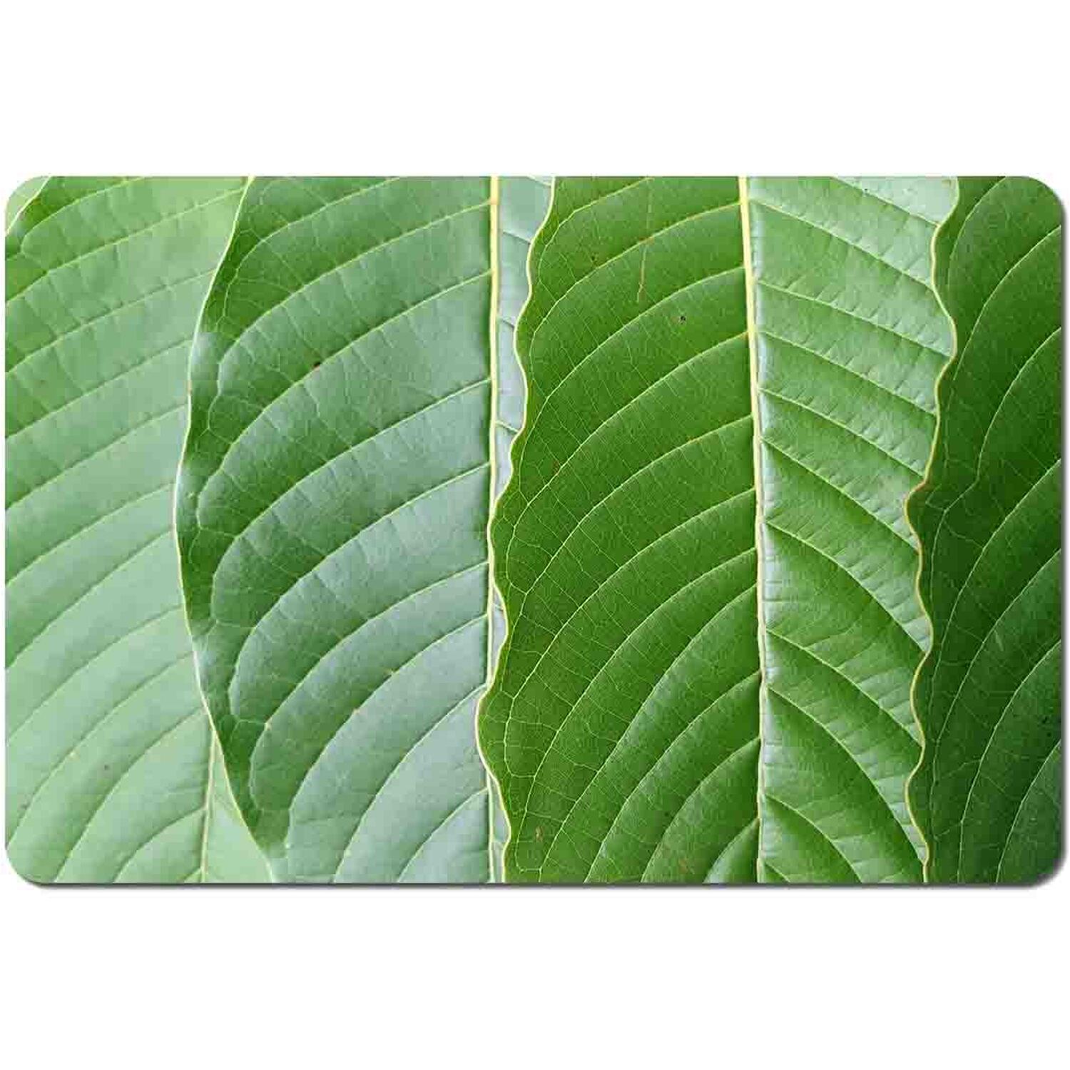 Image of Close Up Of Green Leaves Placemat&hellip;