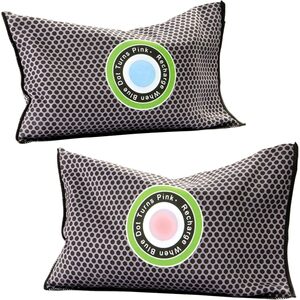 Set of 2 Car or Home Reusable Dehumidifier Bags