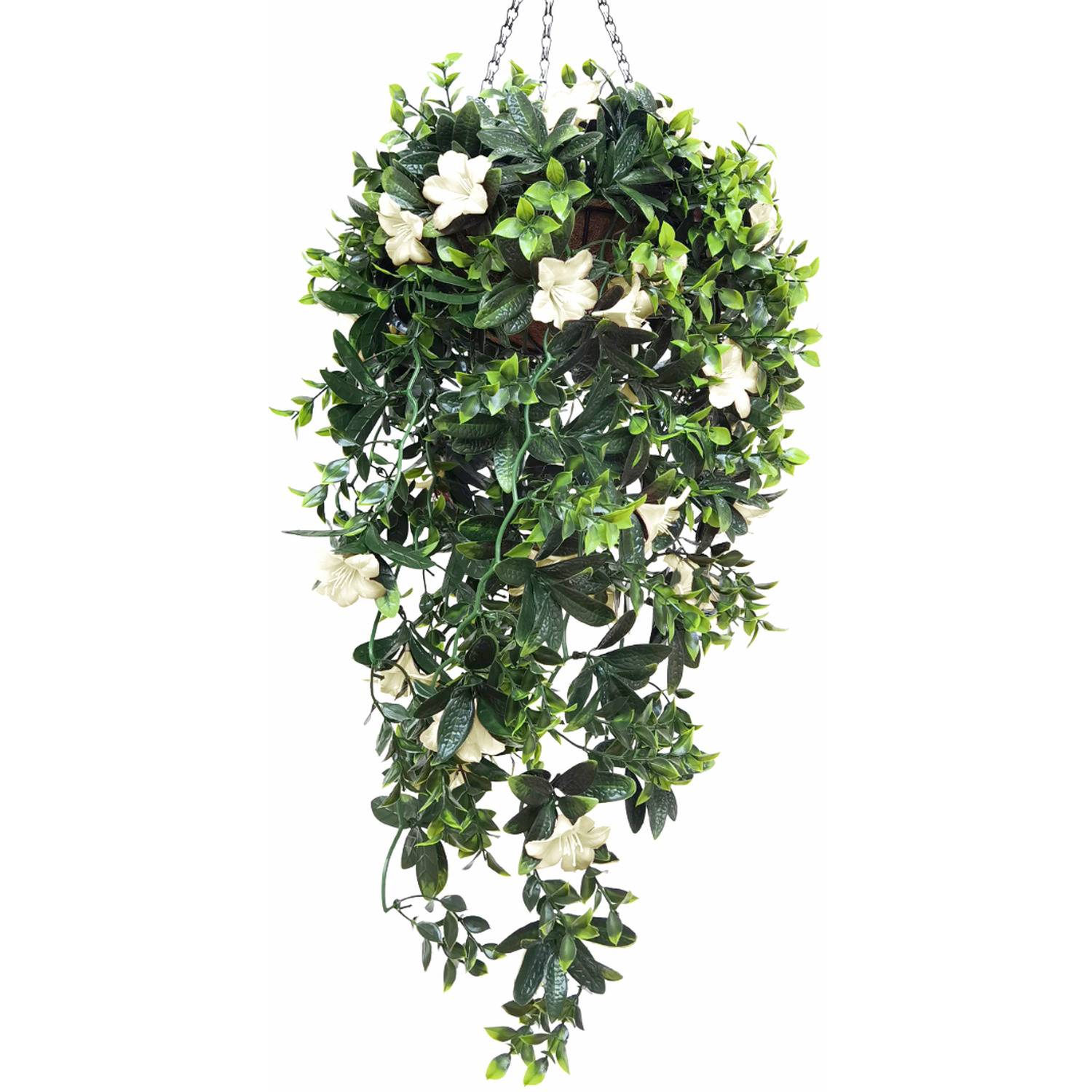 Azalea Hanging Basket with Cascading Flowers - White