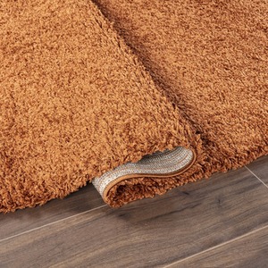 Soft Fluffy Thick Pile Shaggy Area Rug