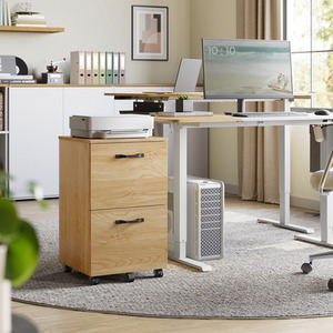 Mobile 2-Drawer Filing Cabinet with Printer Stand