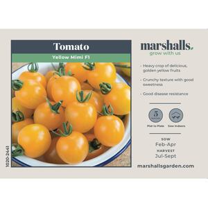 Marshalls Garden Yellow Mimi F1 Tomato Seeds - Cordon variety, 10 seeds